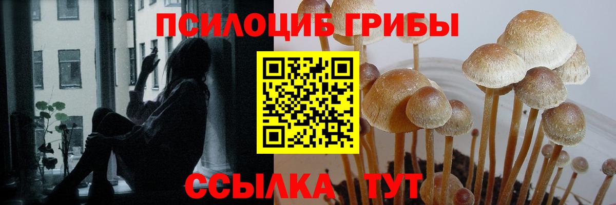 Тара  Галлюциногенные грибы Magic Shrooms  Вход с VPN 